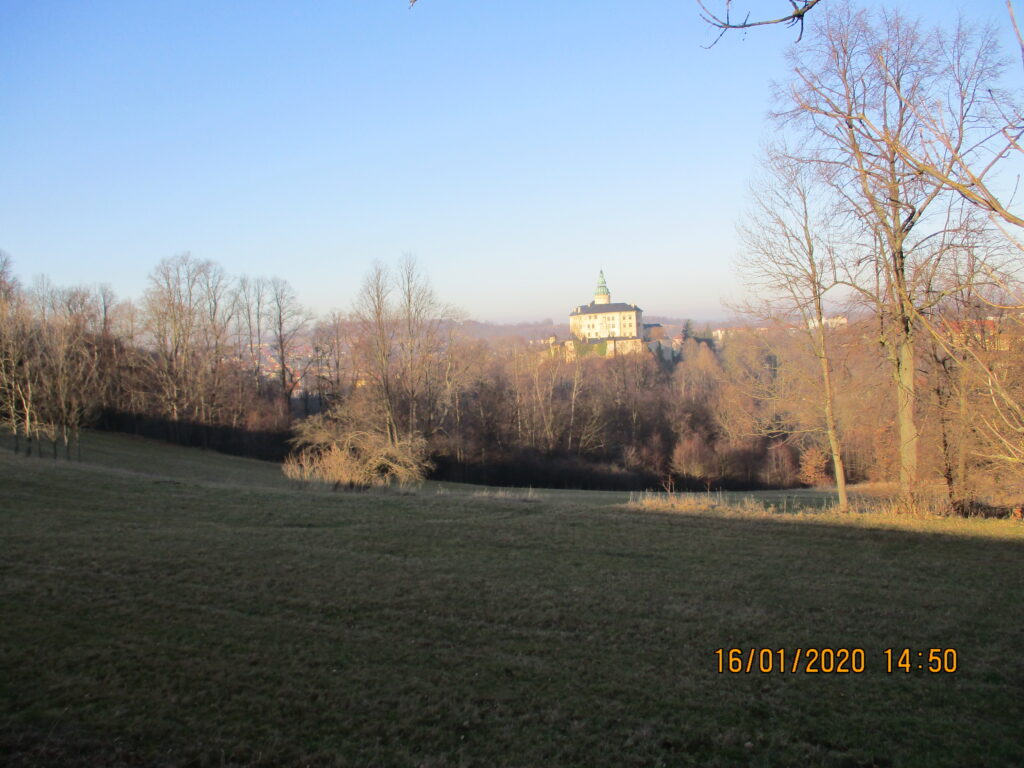 Img 0598
